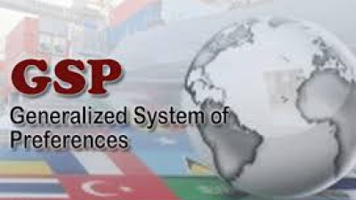 Hướng dẫn và đăng ký mã số REX