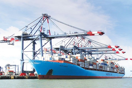 Ngành Hàng hải hỗ trợ doanh nghiệp vận tải biển bằng chính sách