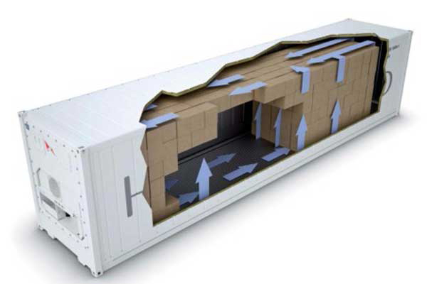 Hướng dẫn sử dụng container lạnh và những điểm lưu ý khi đóng hàng, vận chuyển